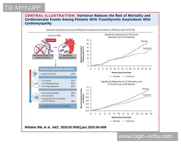 广州飞盘队的耐力研究与训练方法探讨及其对比赛表现的影响分析
